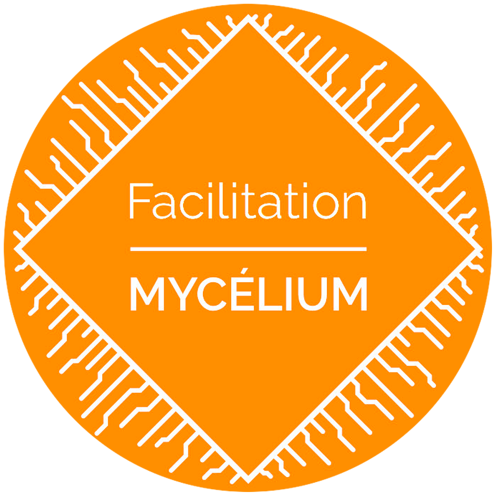 Image média: Facilitation Mycélium
