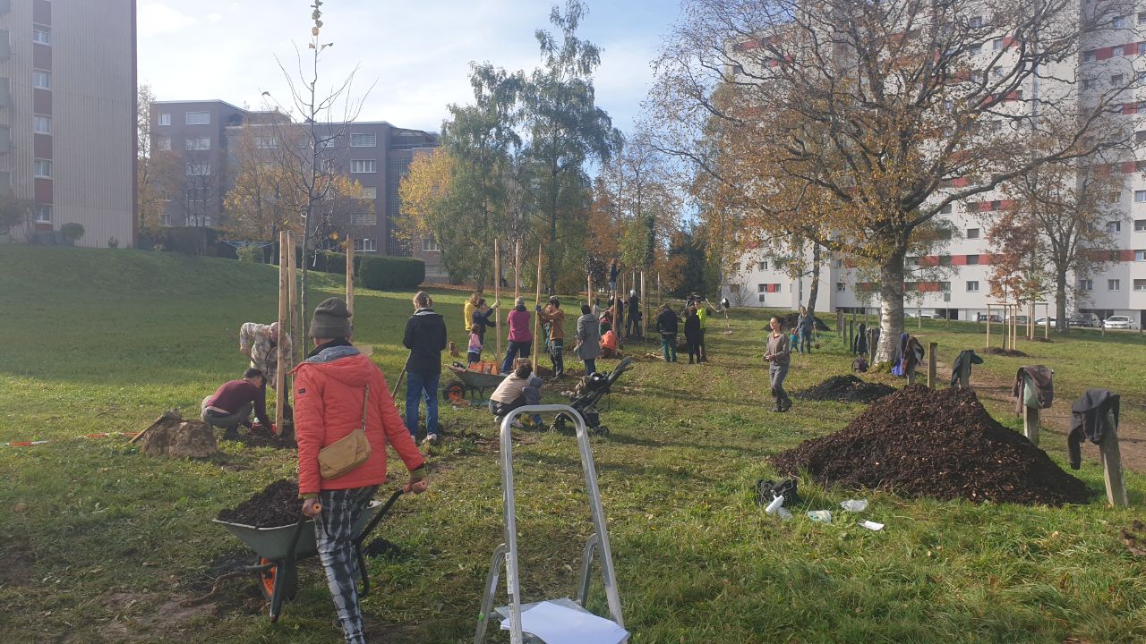 2024.10.20 Chantier participatif - plantation canopée (4)